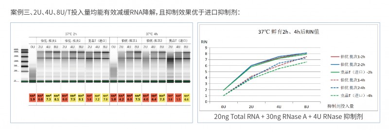 伯优® 猪源RNase抑制剂-单页_画板 1 副本 2