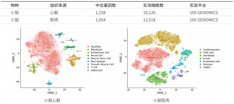 图片12