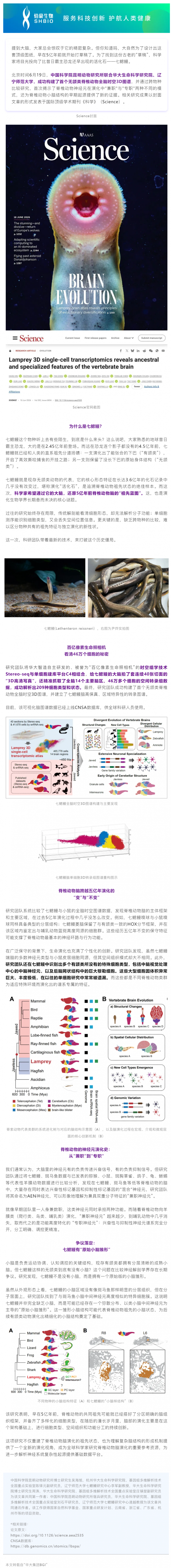 Science 封面 | 首个！Stereo‑seq 助力绘就七鳃鳗全脑时空 3D 图谱