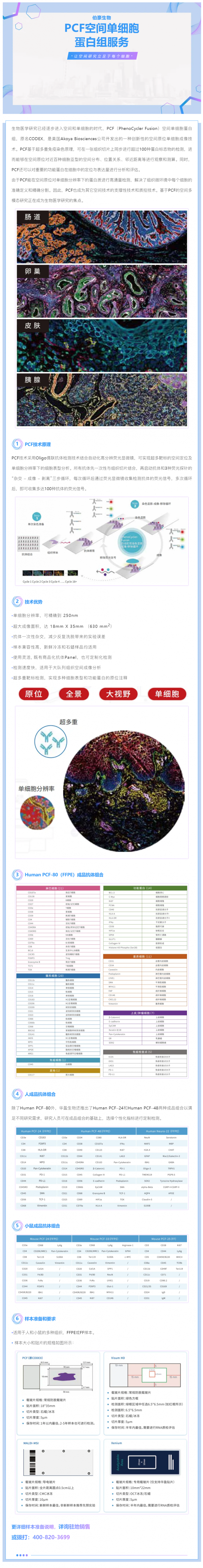 PCF 空间单细胞蛋白组服务——让空间研究立足于每个细胞