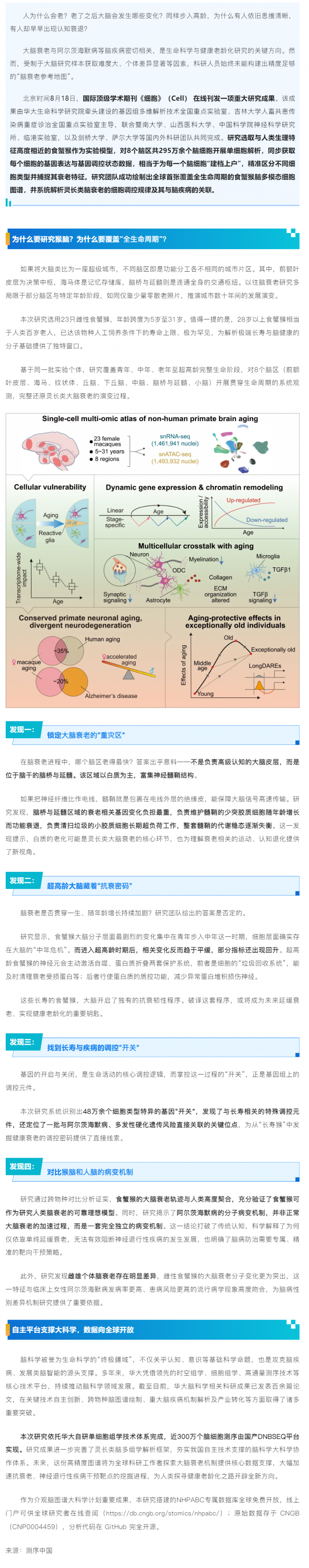Cell 成果揭示脑衰老真相，绘制全球首张食蟹猴全生命周期脑图谱