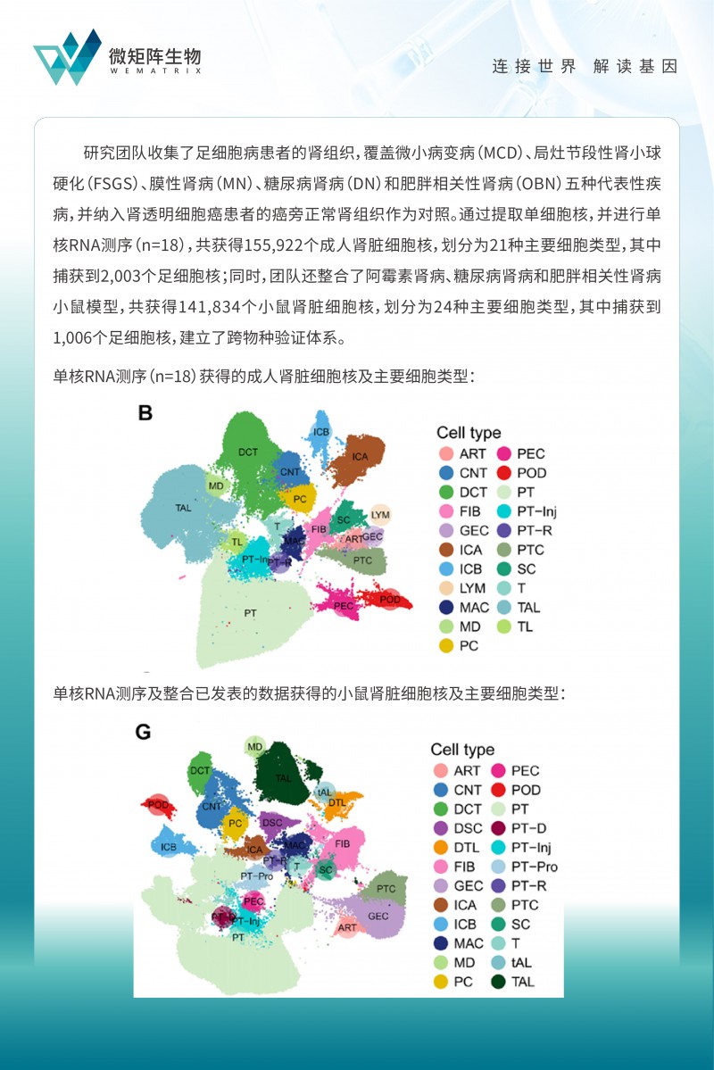 项目文章公众号转图 -03