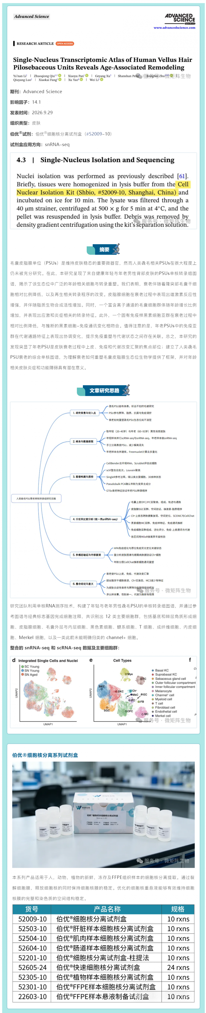 伯优®细胞核分离试剂盒 52009 应用案例分享：单核转录组揭示人类毳毛毛囊皮脂腺单位的衰老重塑